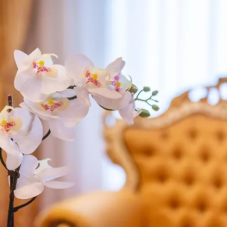 Casino & Admiral Skofije