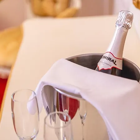 Hotel Casino & Admiral Skofije 4*