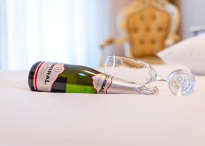 Casino & Admiral Skofije Hotel