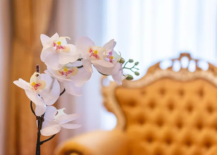 Casino & Admiral Skofije